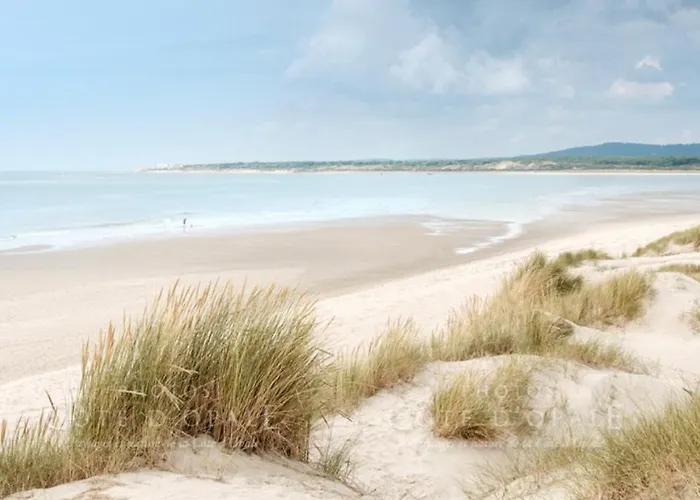 Touquet\'S Garden